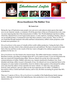 Hevea Brasiliensis:The Rubber Tree
