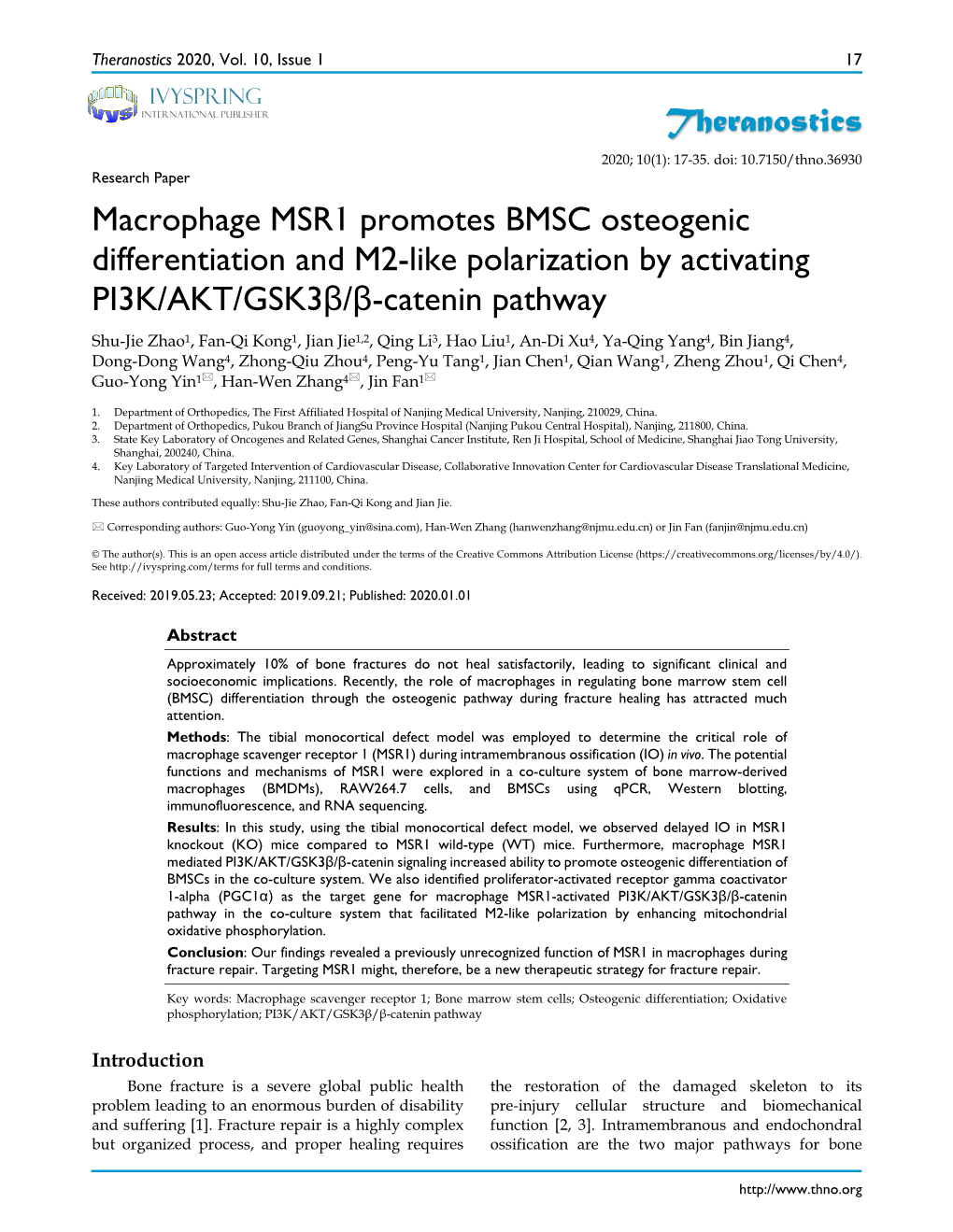 Theranostics Macrophage MSR1 Promotes BMSC Osteogenic