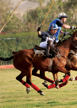 Polo in Egypt Sports of Kings and the Kings