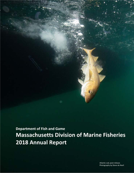 Massachusetts Division of Marine Fisheries 2018 Annual Report