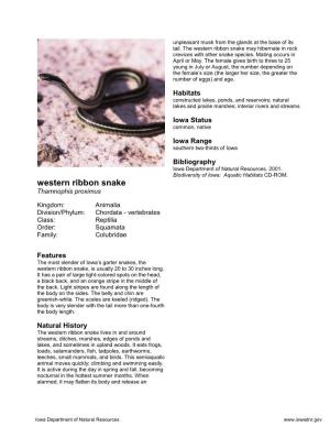 Western Ribbon Snake May Hibernate in Rock Crevices with Other Snake Species