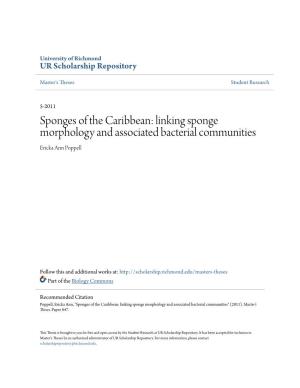 Sponges of the Caribbean: Linking Sponge Morphology and Associated Bacterial Communities Ericka Ann Poppell