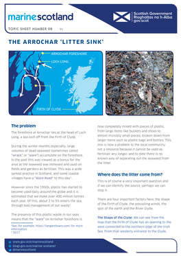 The Arrochar 'Litter Sink'