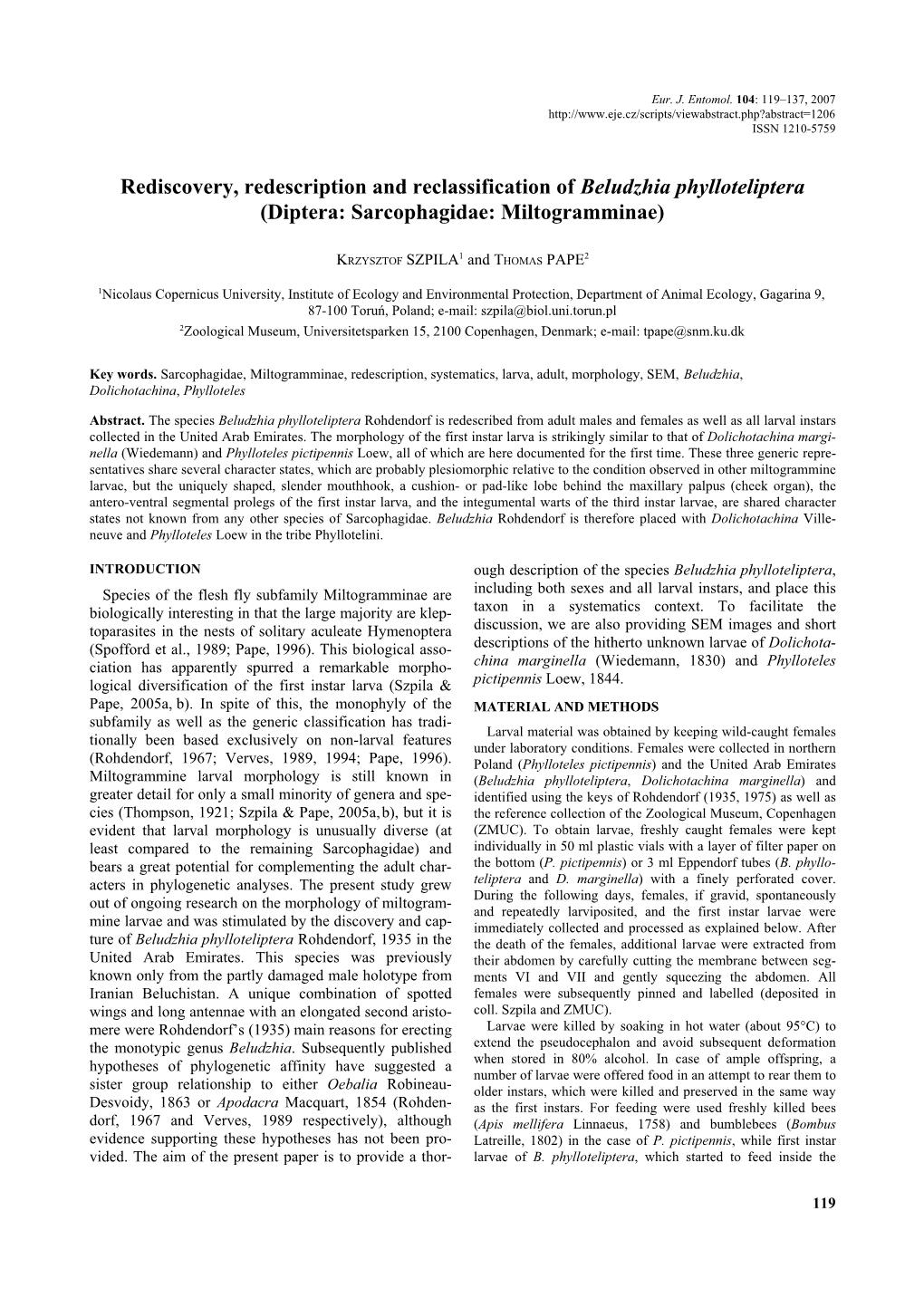 Rediscovery, Redescription and Reclassification of Beludzhia Phylloteliptera (Diptera: Sarcophagidae: Miltogramminae)