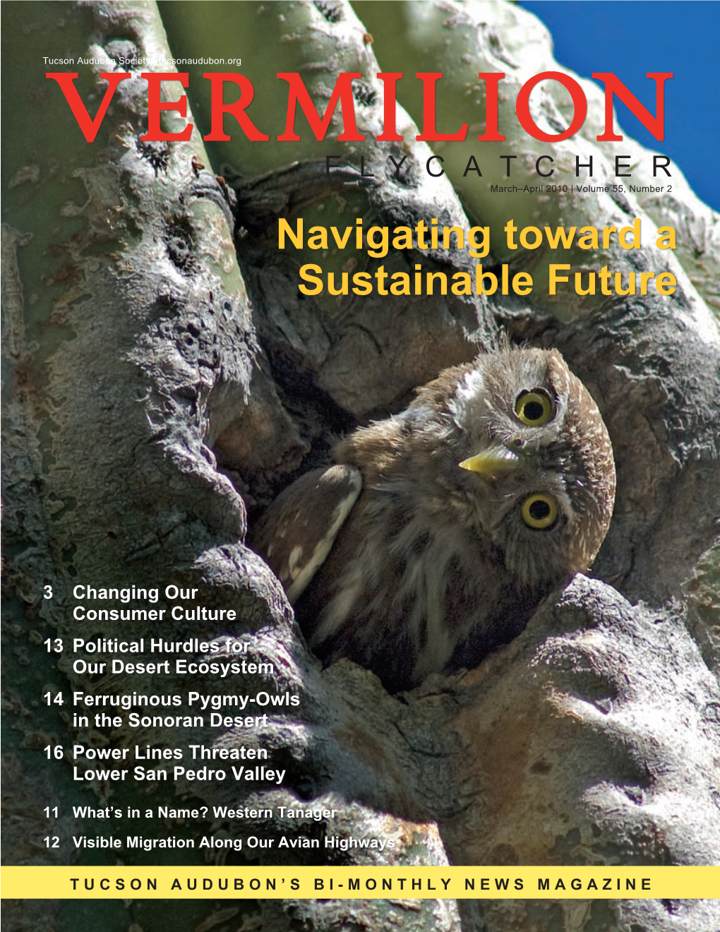 Tucson Audubon Magazine: the Vermilion Flycatcher
