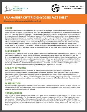 SALAMANDER CHYTRIDIOMYCOSIS FACT SHEET Other Names: Salamander Chytrid Disease, B Sal
