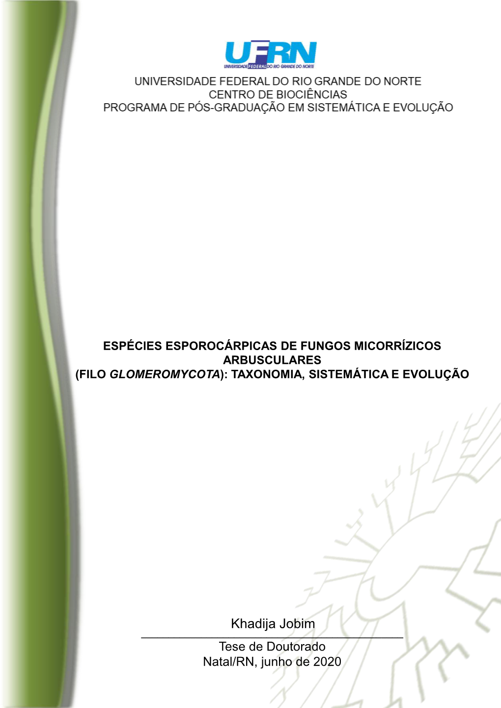 Khadija Jobim ______Tese De Doutorado Natal/RN, Junho De 2020 KHADIJA JOBIM