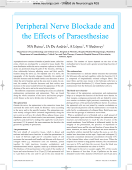 Peripheral Nerve Blockade and the Effects of Paraesthesiae