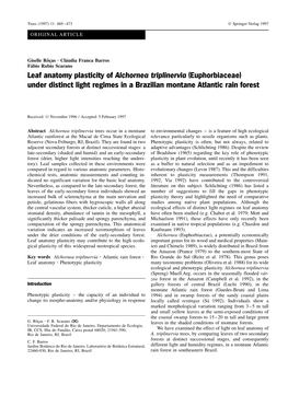 Leaf Anatomy Plasticity of Alchornea Triplinervia (Euphorbiaceae) Under Distinct Light Regimes in a Brazilian Montane Atlantic Rain Forest