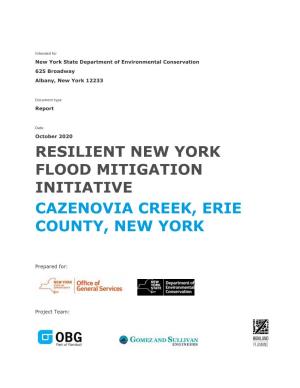 Resilient NY Flood Mitigation Initiative: Cazenovia Creek, Erie