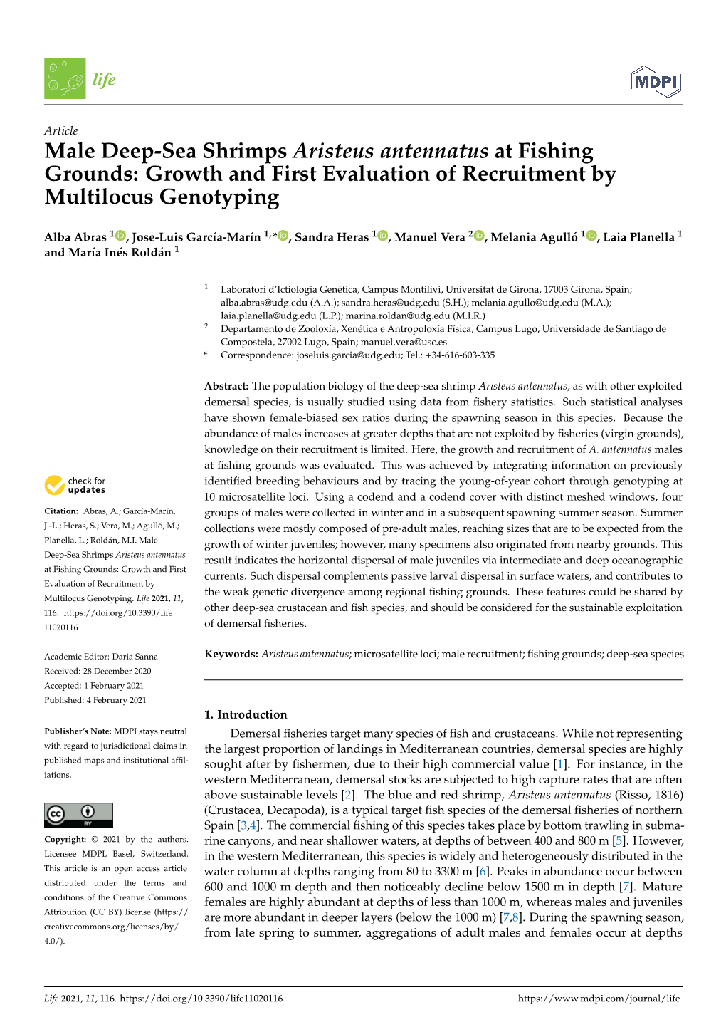 Male Deep-Sea Shrimps Aristeus Antennatus at Fishing Grounds: Growth and First Evaluation of Recruitment by Multilocus Genotyping