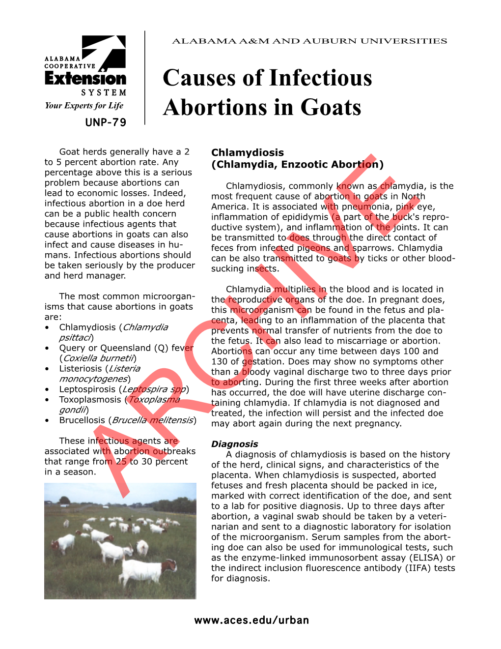 Causes of Infectious Abortions in Goats 3 Diagnosis Diagnosis Is Based on Clinical Signs and by Isolation of T