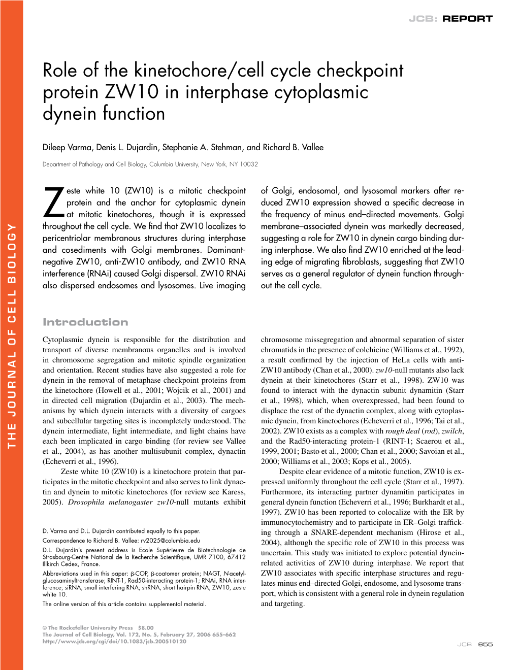 Protein ZW10 in Interphase Cytoplasmic Dynein Function