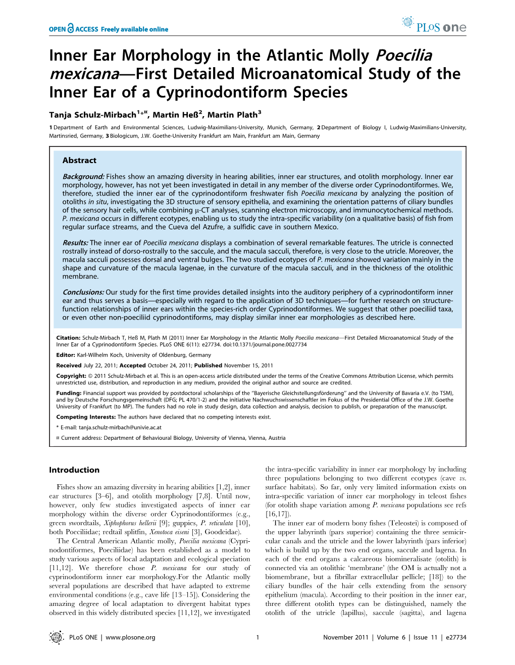 Inner Ear Morphology in the Atlantic Molly Poecilia Mexicana—First Detailed Microanatomical Study of the Inner Ear of a Cyprinodontiform Species