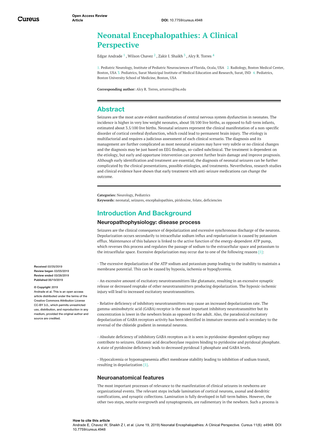 Neonatal Encephalopathies: a Clinical Perspective