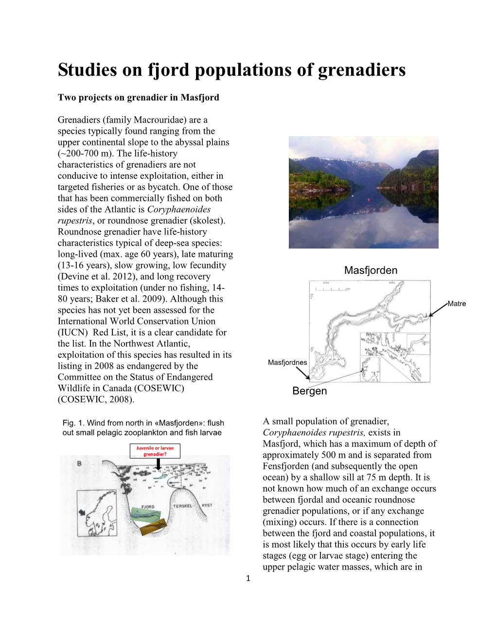 Studies on Fjord Populations of Grenadiers