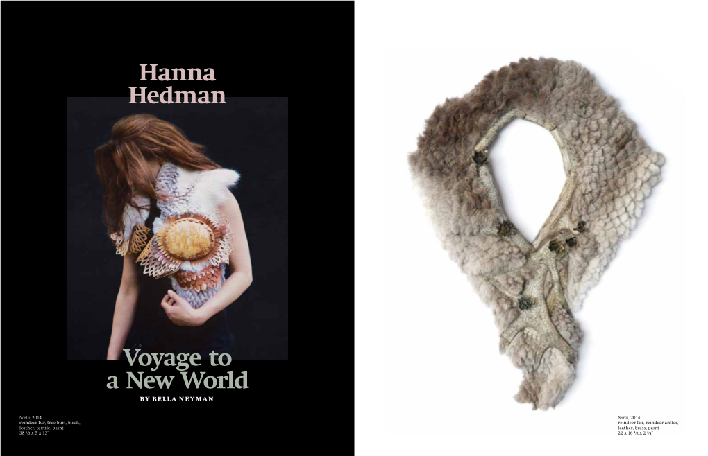 Hanna Hedman Voyage to a New World