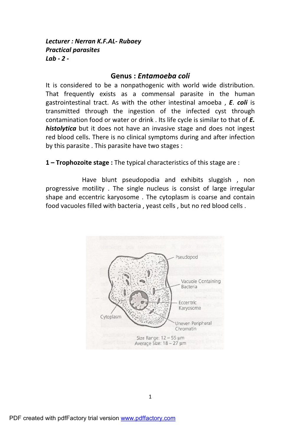 Entamoeba Coli It Is Considered to Be a Nonpathogenic with World Wide Distribution