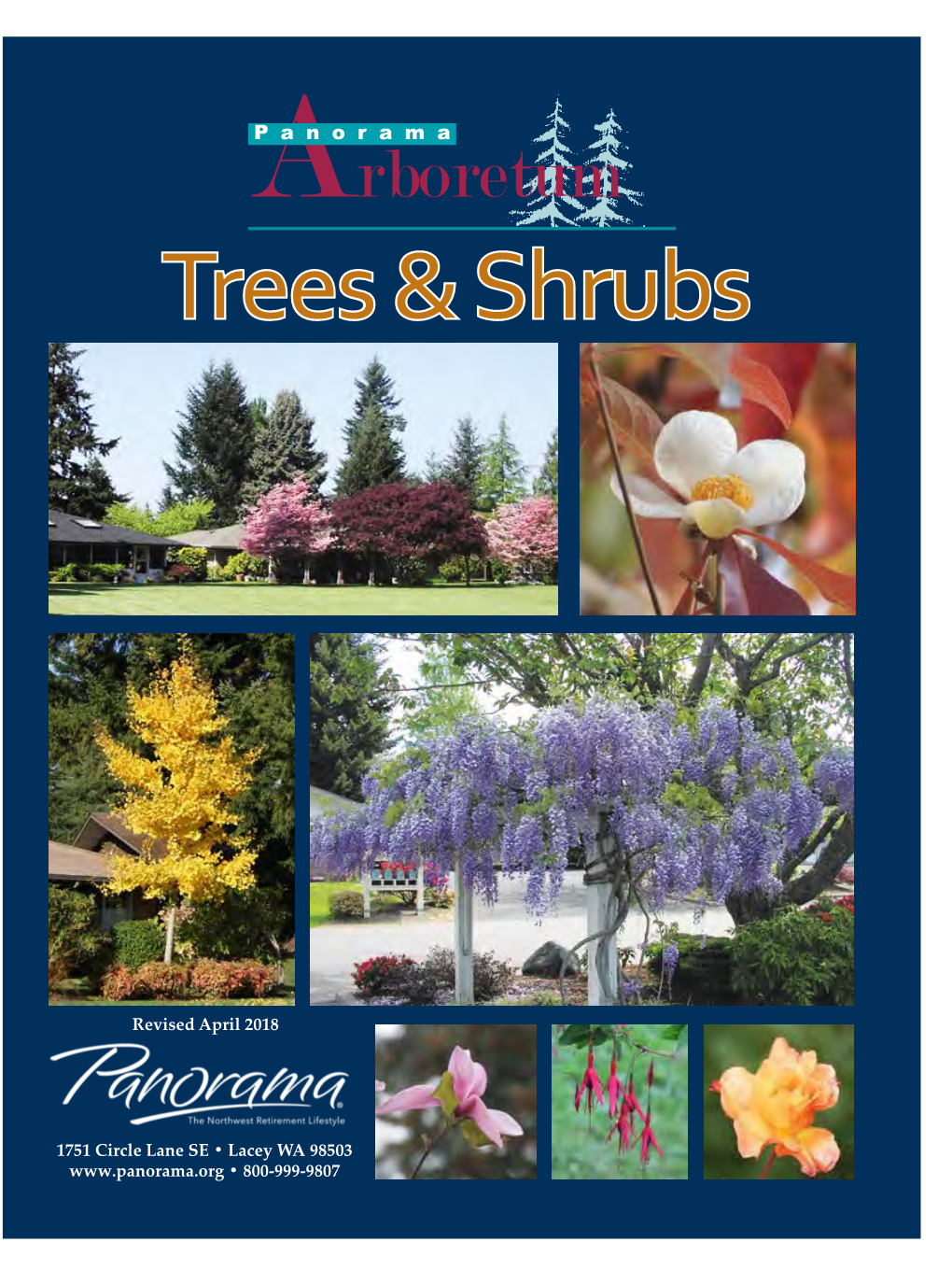 Trees & Shrubs