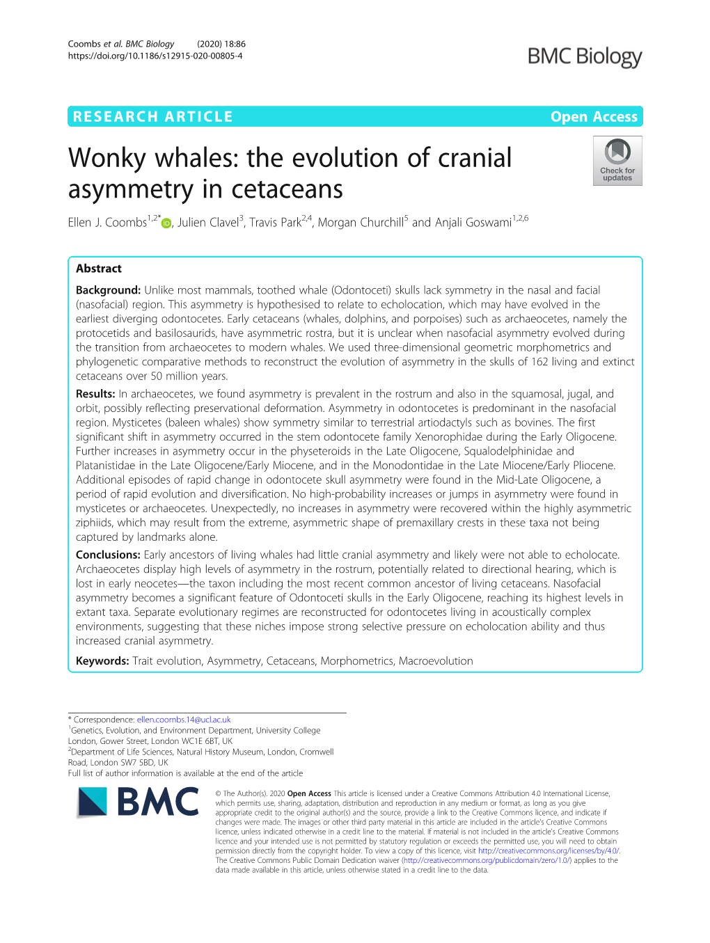 Wonky Whales: the Evolution of Cranial Asymmetry in Cetaceans Ellen J