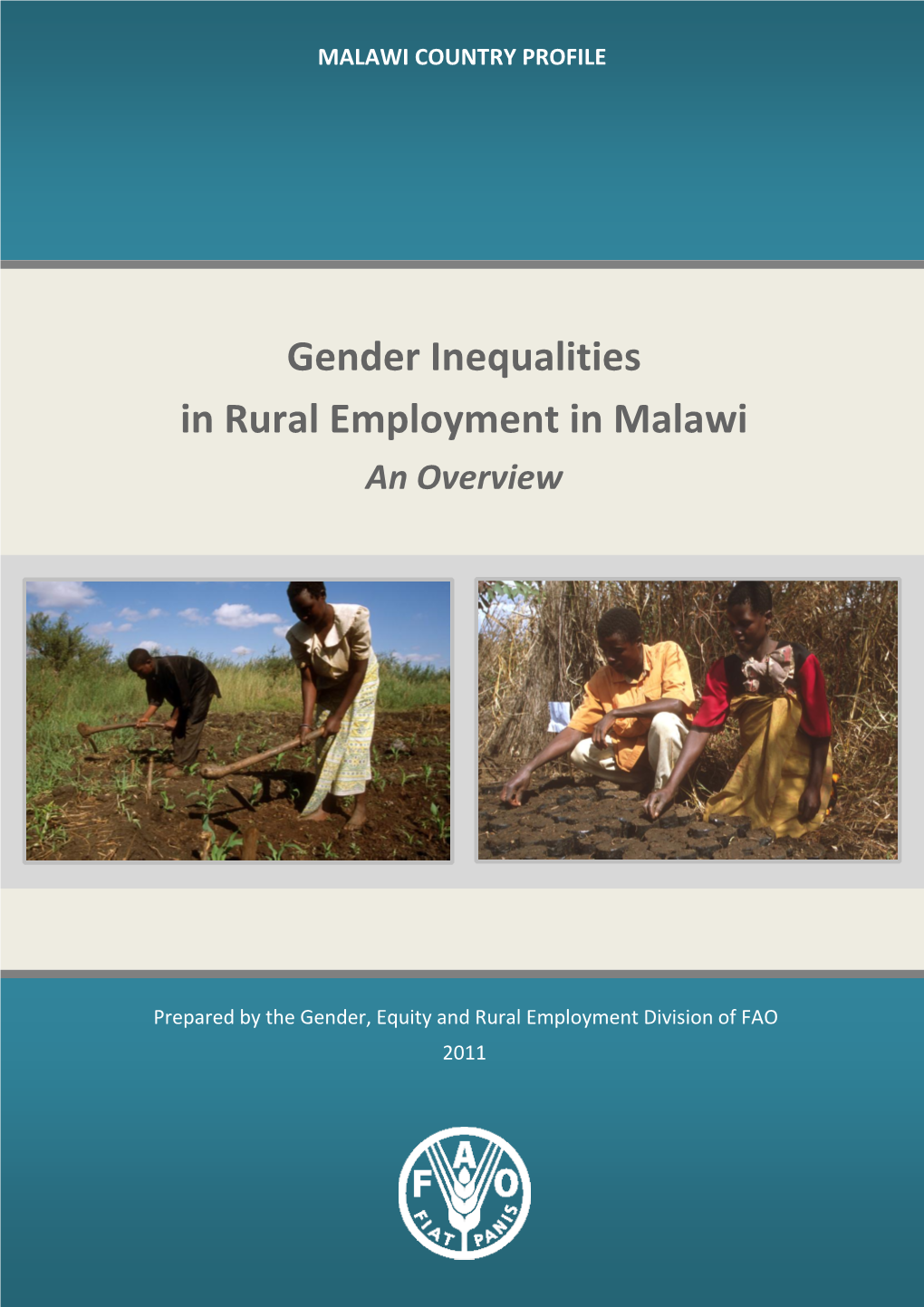 Gender Inequalities in Rural Employment in Malawi an Overview