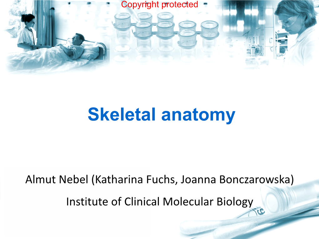 Skeletal Anatomy