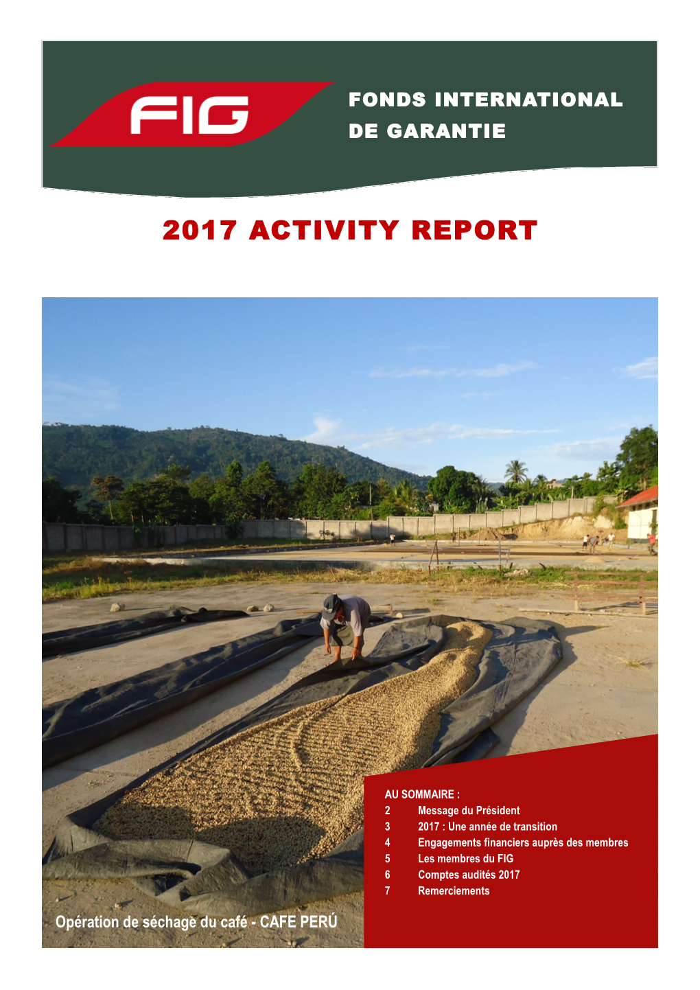 2017 Activity Report