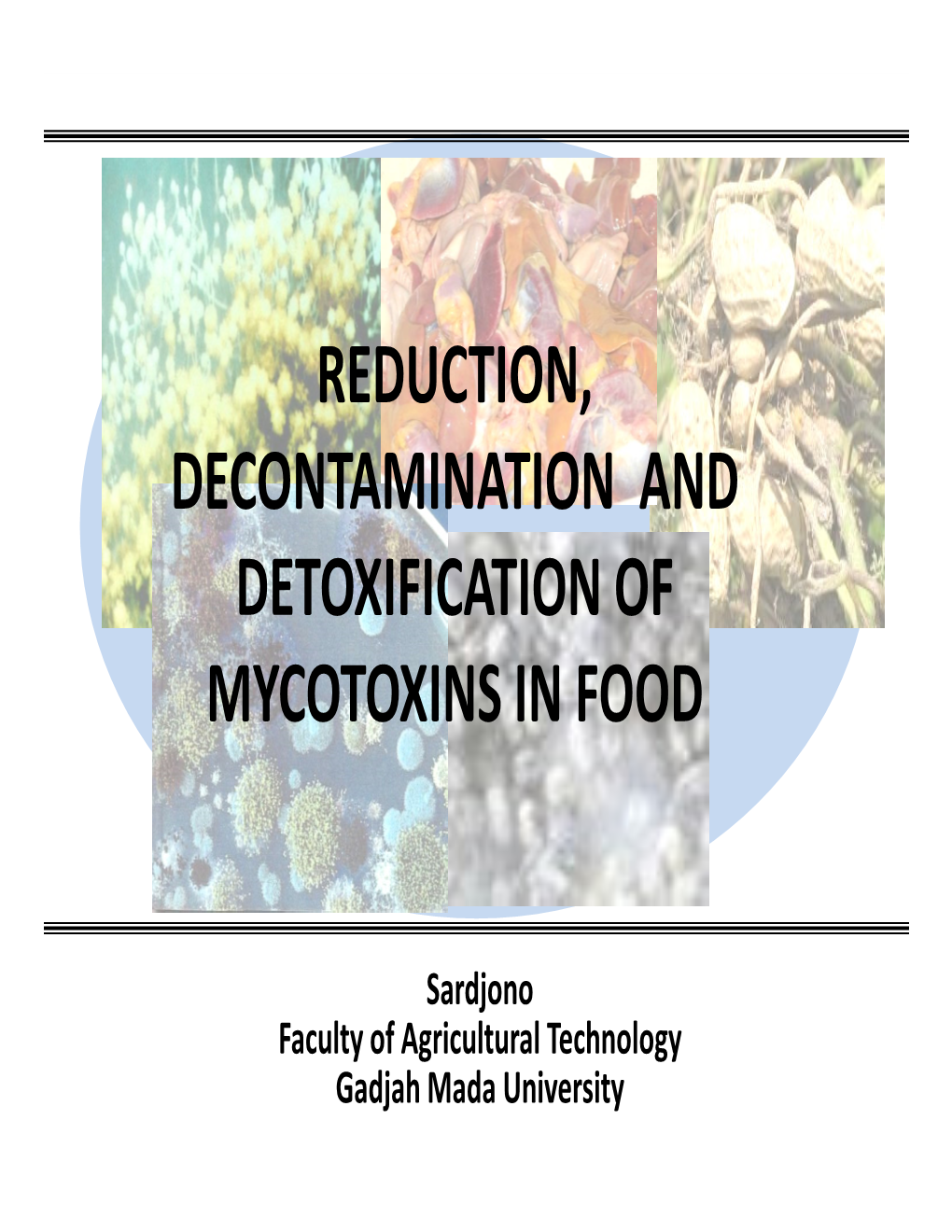 Aflatoxin in “Instant Noodle”