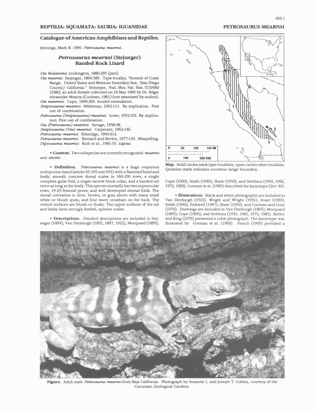 Catalogue of American Amphibians and Reptiles. Petrosaurus Meamsi