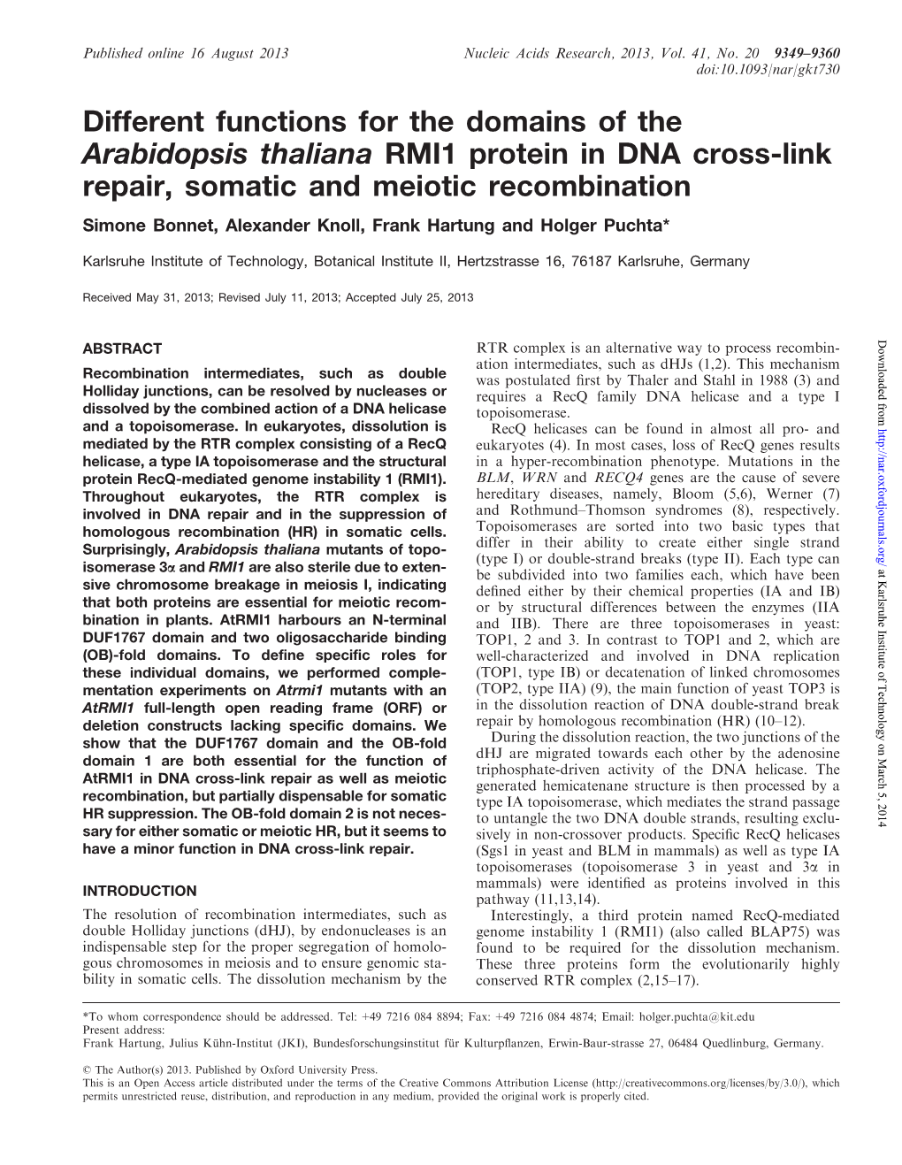 Different Functions for the Domains of the Arabidopsis Thaliana RMI1