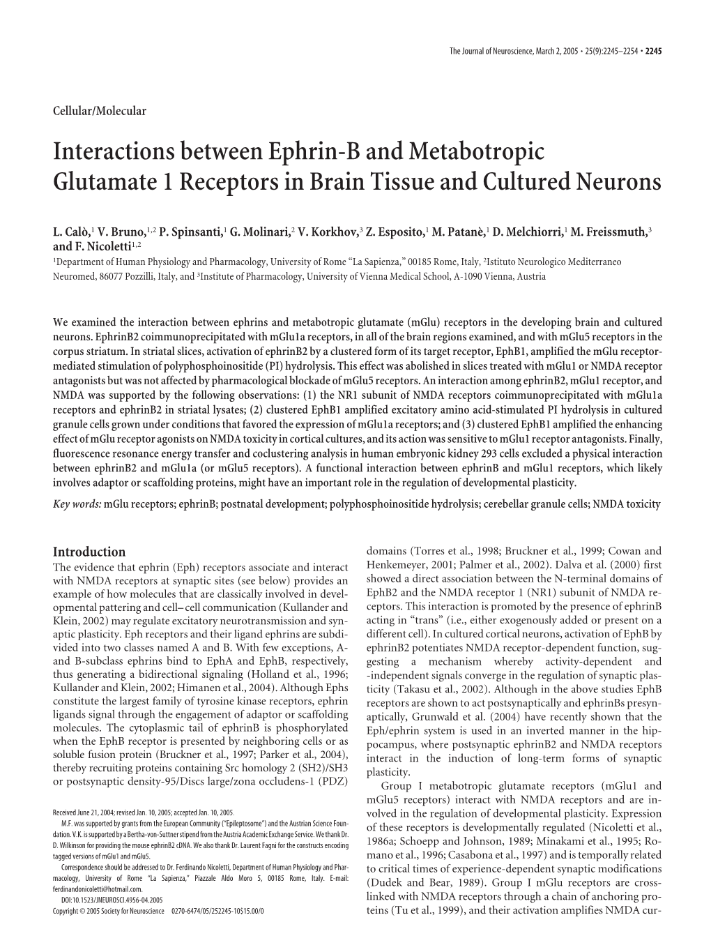 Interactions Between Ephrin-B and Metabotropic Glutamate 1 Receptors in Brain Tissue and Cultured Neurons
