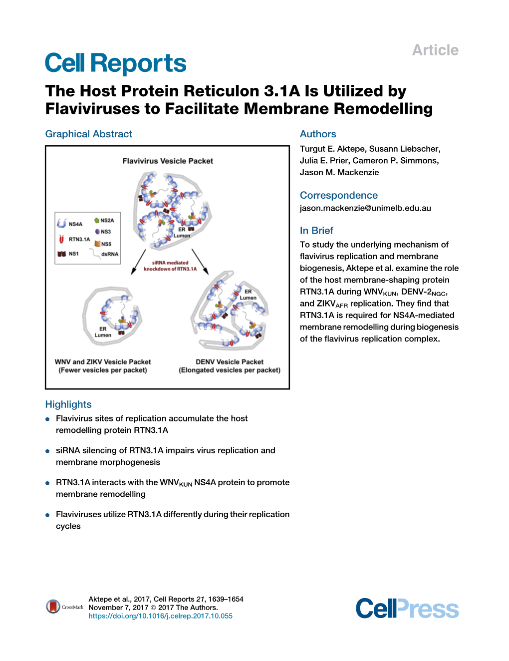 The Host Protein Reticulon 3.1A Is Utilized by Flaviviruses to Facilitate Membrane Remodelling