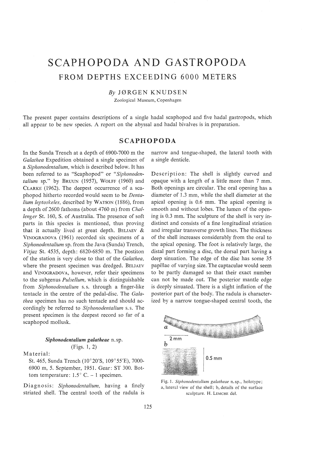 Scaphopoda and Gastropoda from Depths Exceeding 6000 Meters