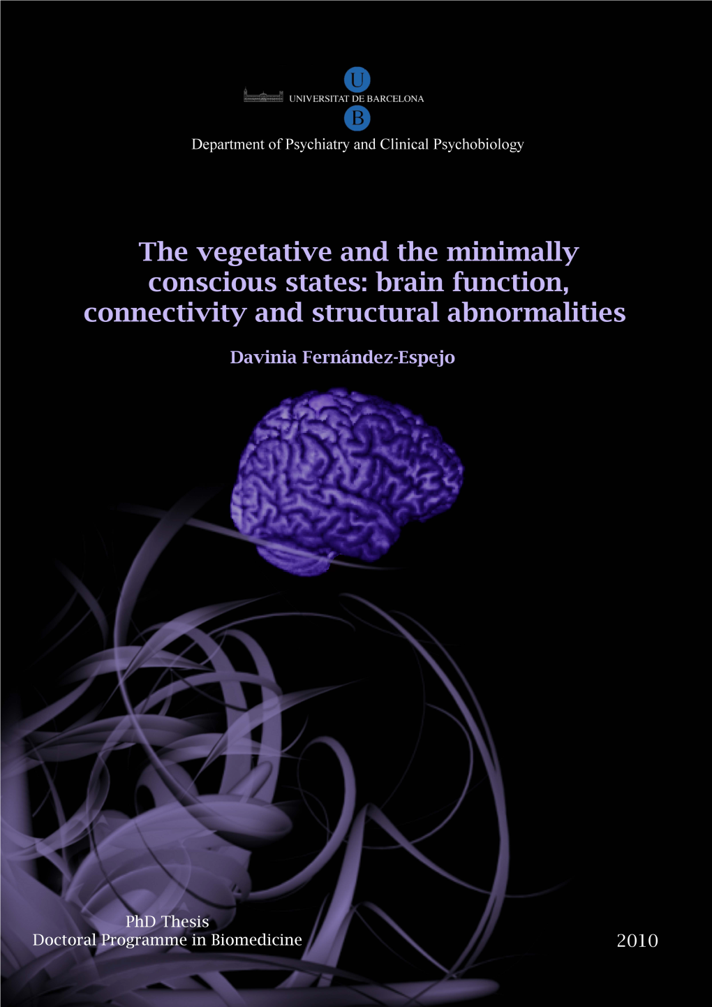 Brain Function, Connectivity and Structural Abnormalities