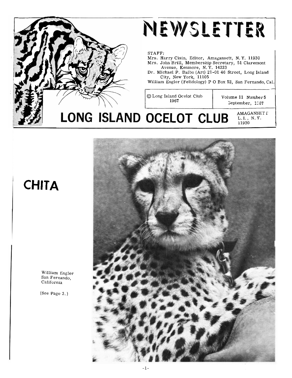 Ocelot Club F ~ ;