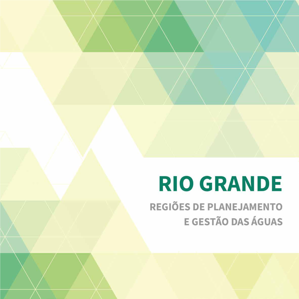 Rio Grande Regiões De Planejamento E Gestão Das Águas