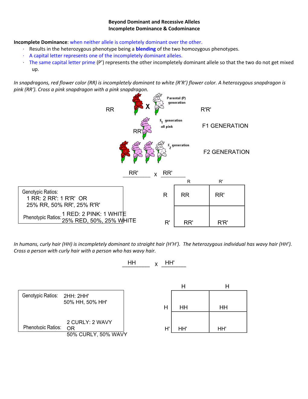 Beyond Dominant and Recessive Alleles Incomplete Dominance & Codominance