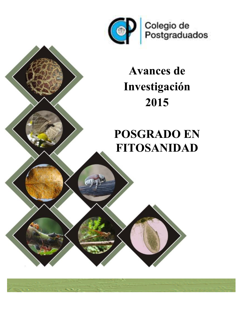 Memoria De Avances De Investigación Posgrado En Fitosanidad 2015