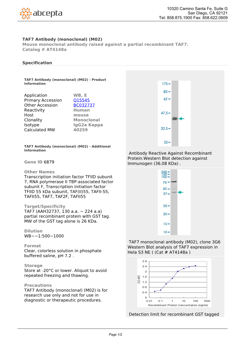 TAF7 Antibody (Monoclonal) (M02) Mouse Monoclonal Antibody Raised Against a Partial Recombinant TAF7