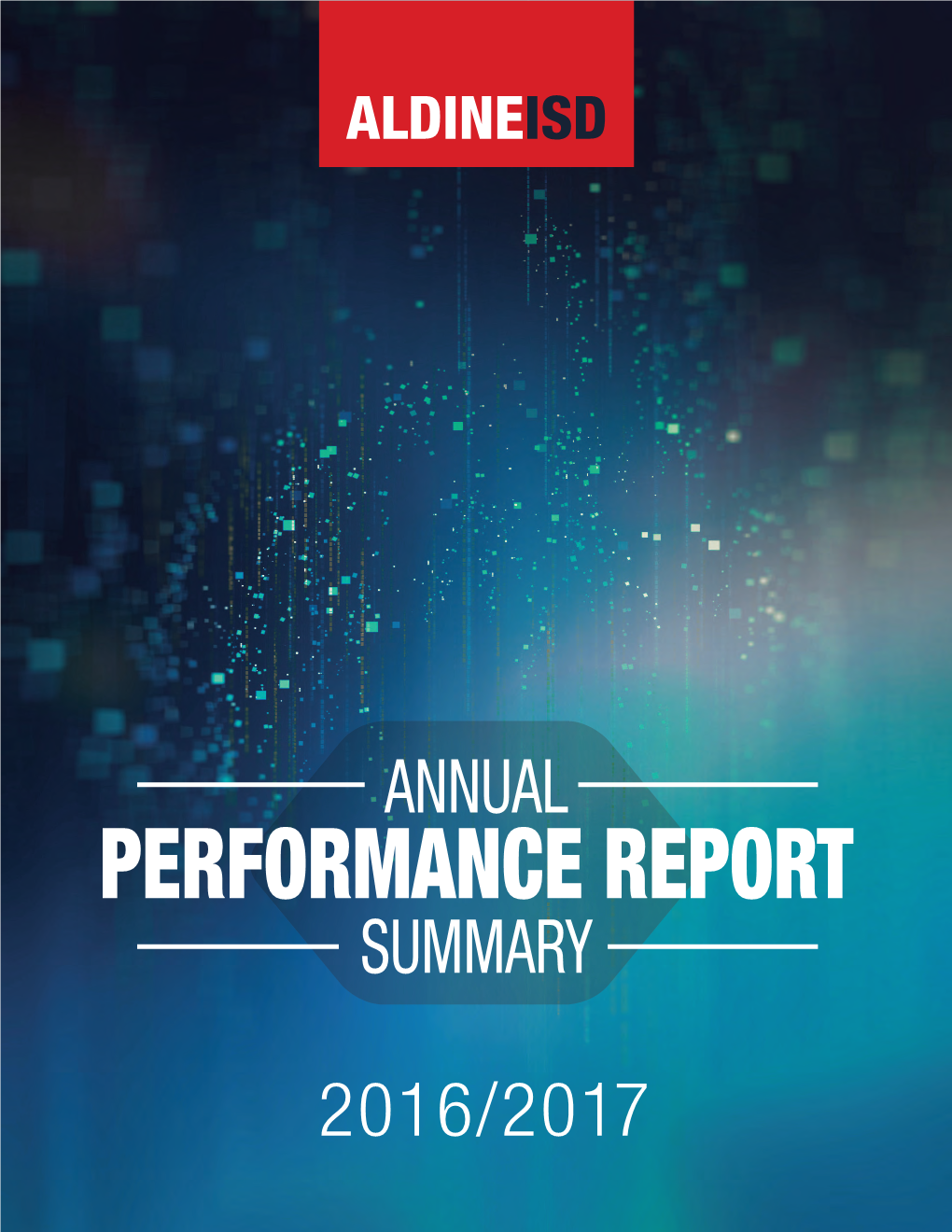 Performance Report Summary