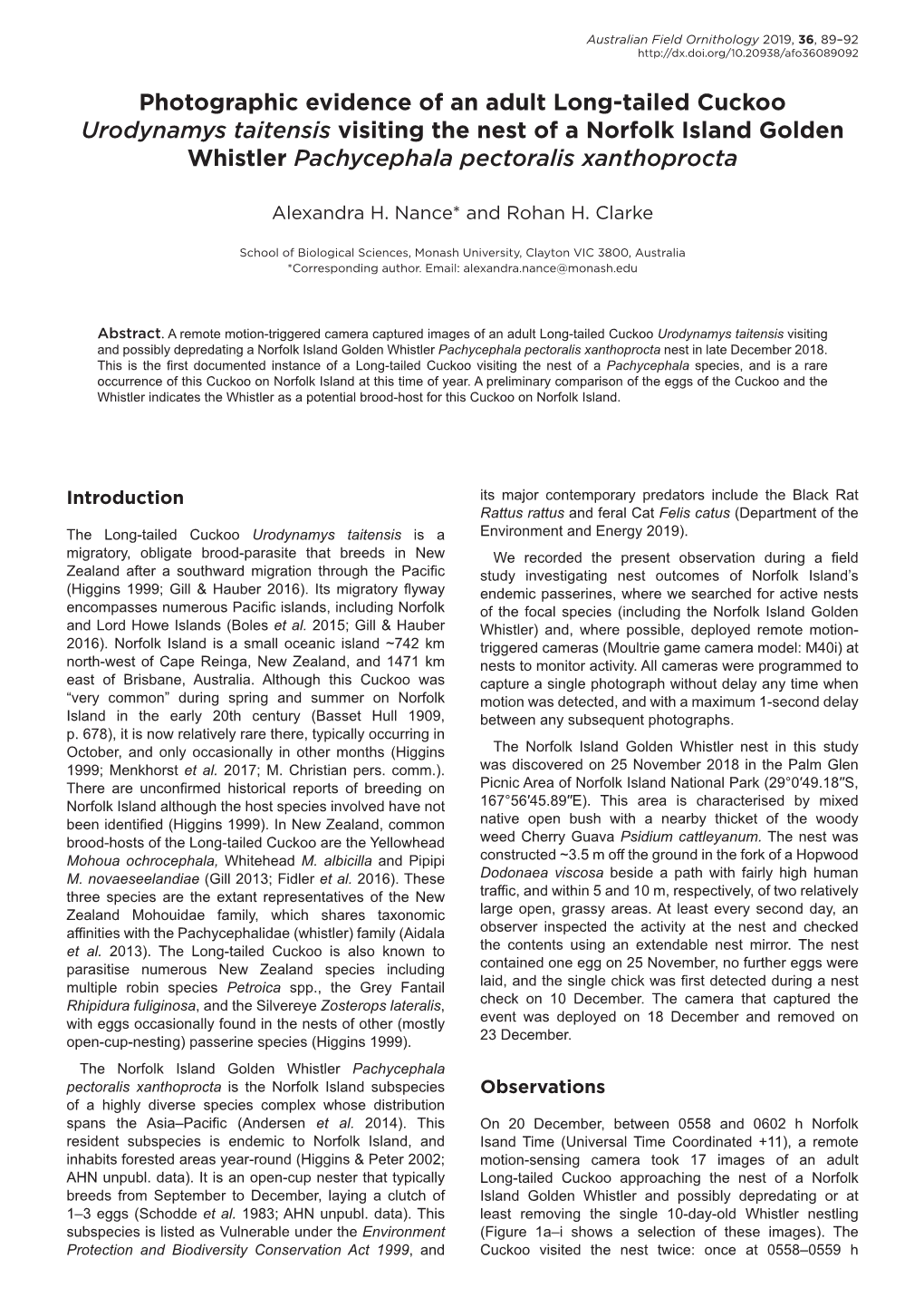 Photographic Evidence of an Adult Long-Tailed Cuckoo Urodynamys Taitensis Visiting the Nest of a Norfolk Island Golden Whistler Pachycephala Pectoralis Xanthoprocta