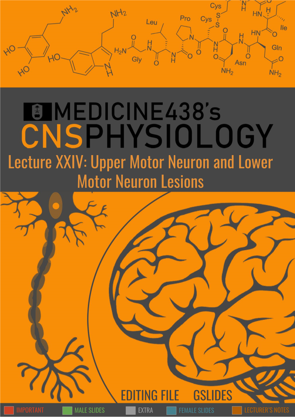 Upper Motor Neuron and Lower Motor Neuron Lesions