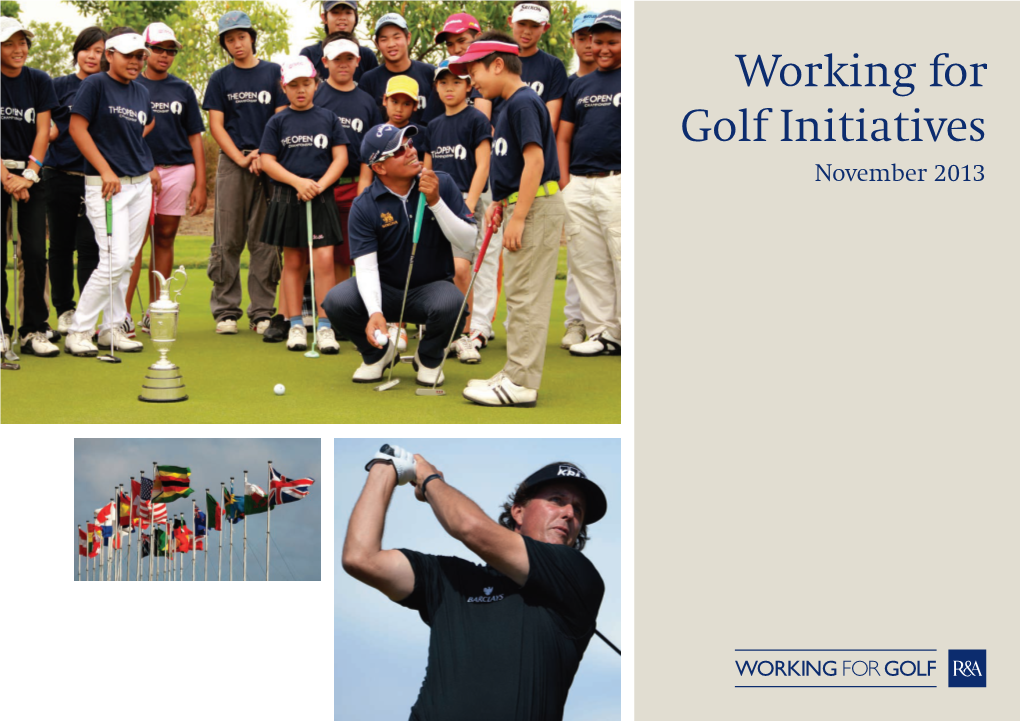 Working for Golf Initiatives November 2013 INVESTMENT BACK INTO the GAME WORKING for GOLF INVESTMENT CHANNELS