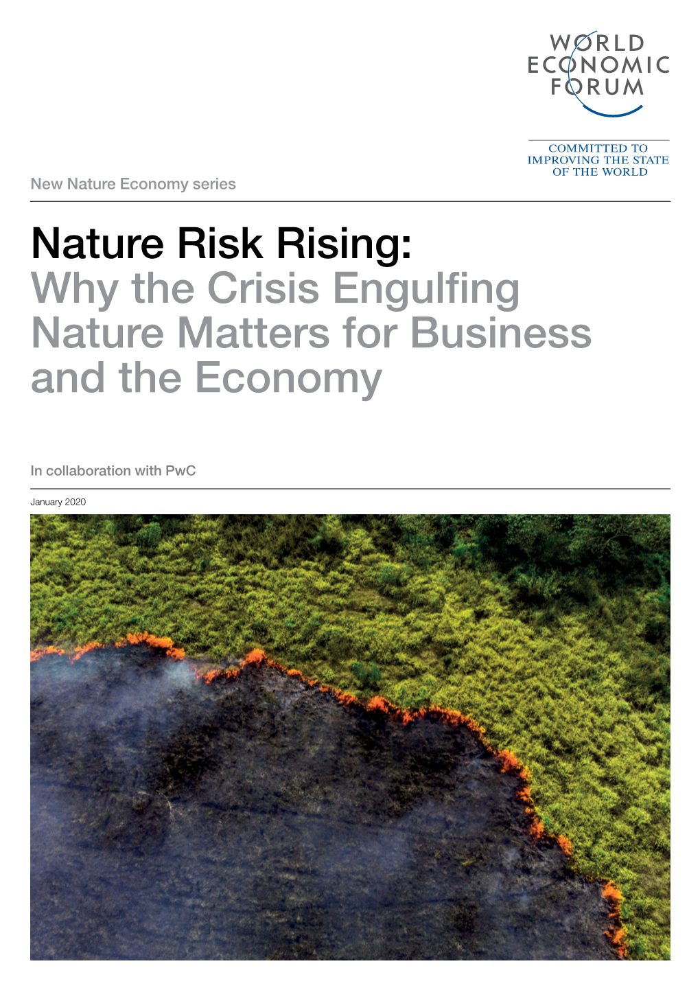 Nature Risk Rising: Why the Crisis Engulfing Nature Matters for Business and the Economy