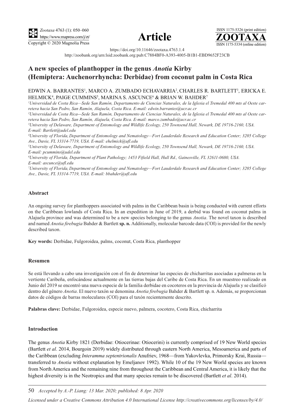 A New Species of Planthopper in the Genus Anotia Kirby (Hemiptera: Auchenorrhyncha: Derbidae) from Coconut Palm in Costa Rica