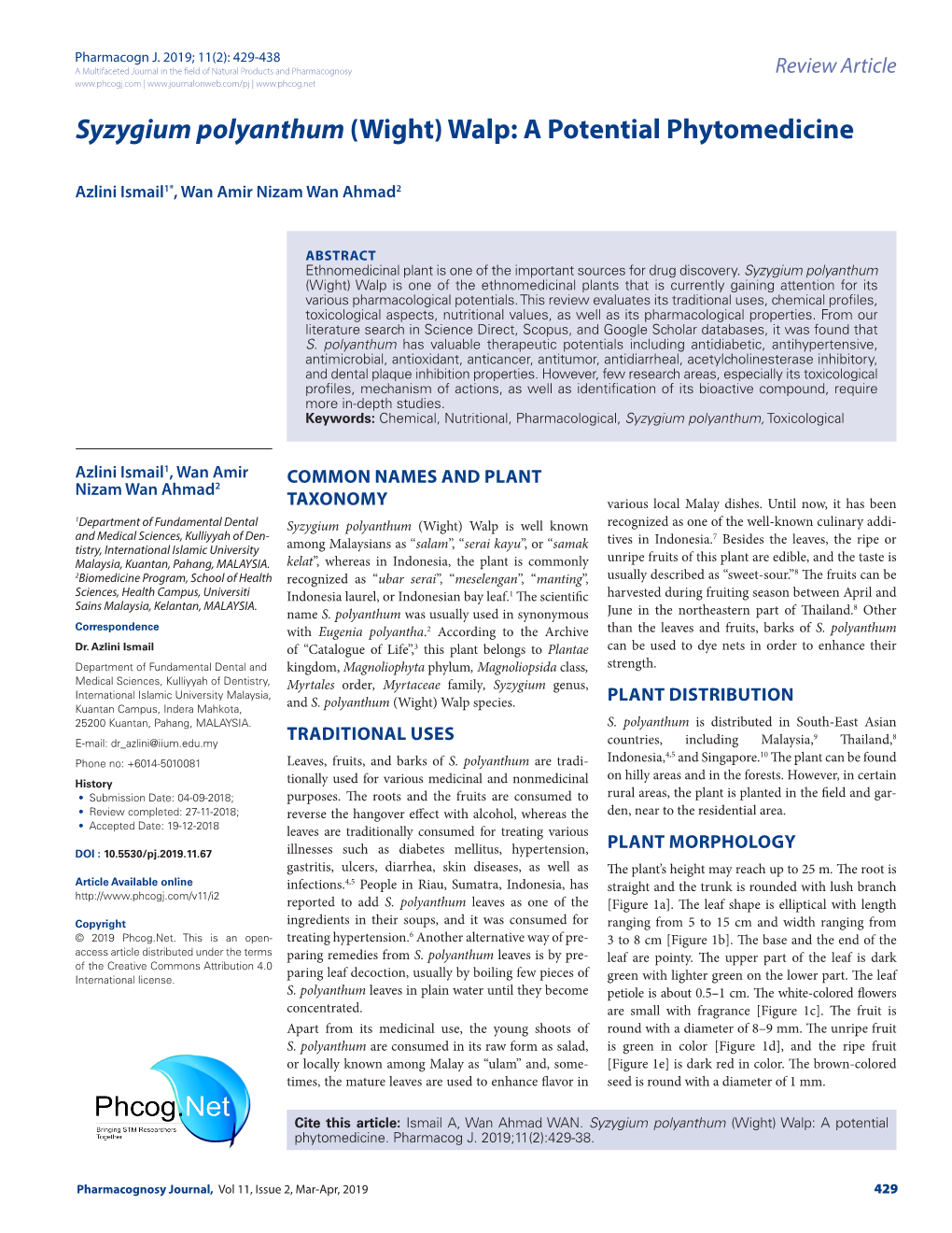 Syzygium Polyanthum (Wight) Walp: a Potential Phytomedicine