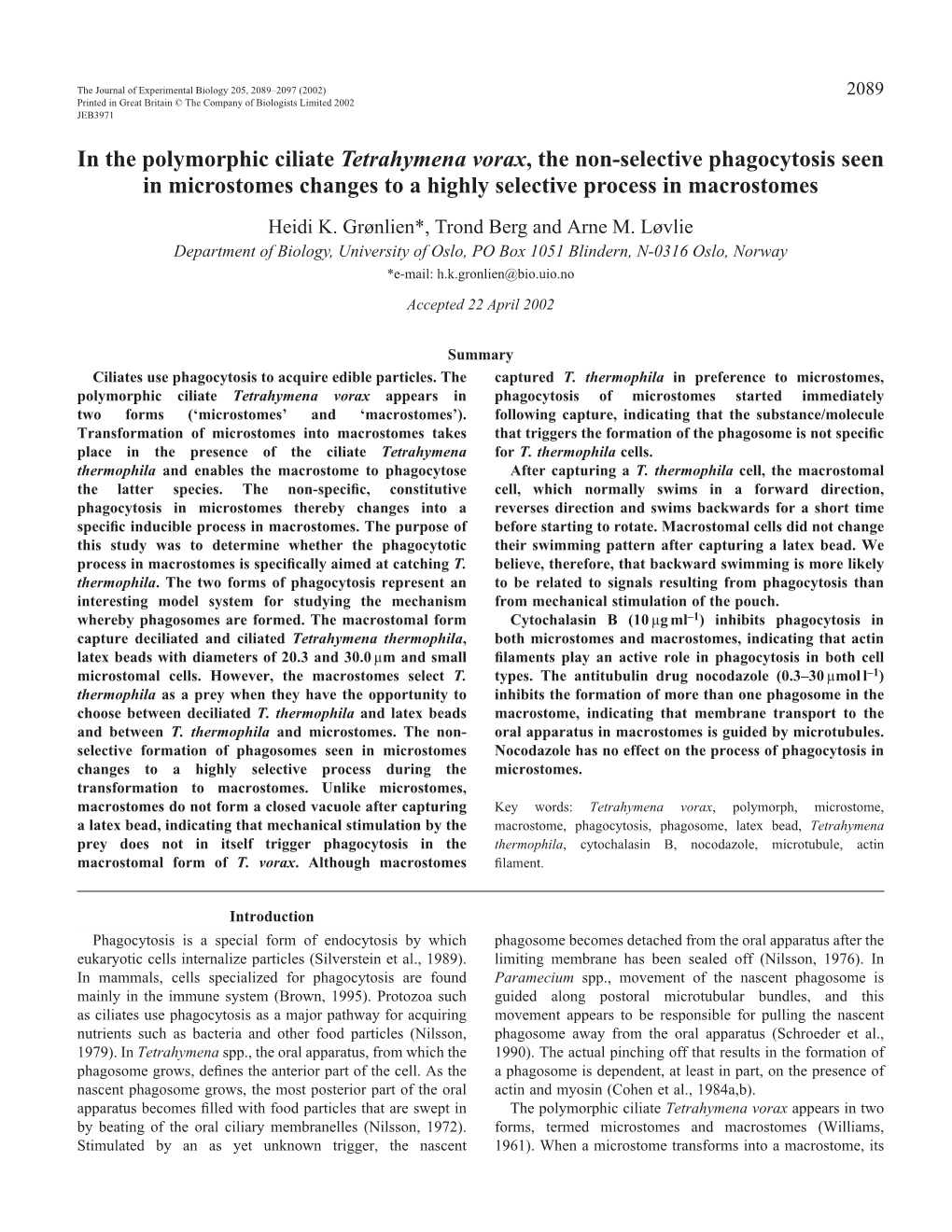 Phagocytosis in the Polymorphic Ciliate Tetrahymena Vorax