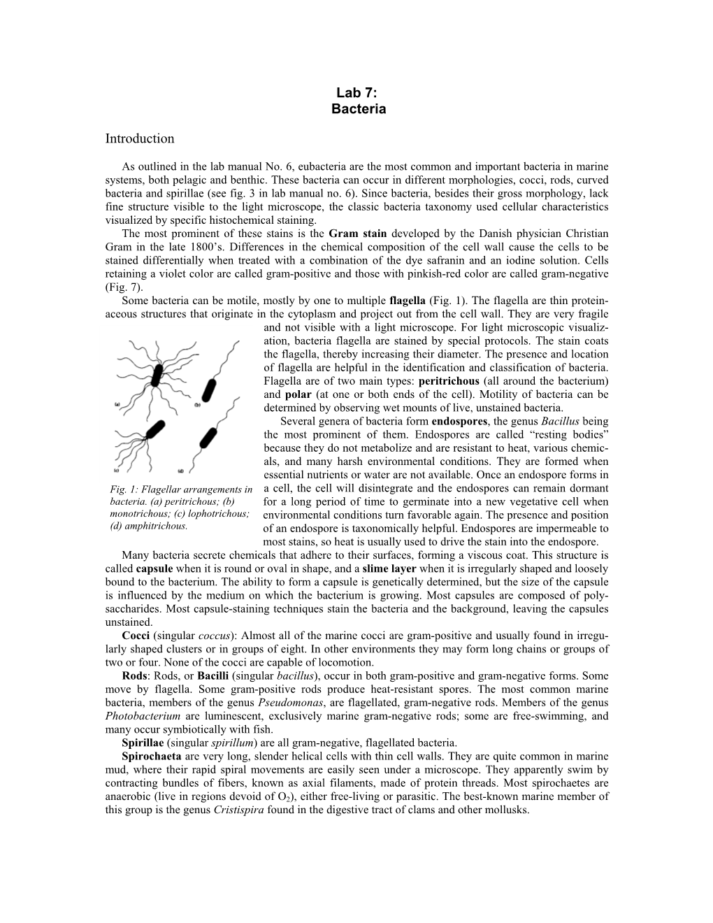 Lab 7: Bacteria Introduction