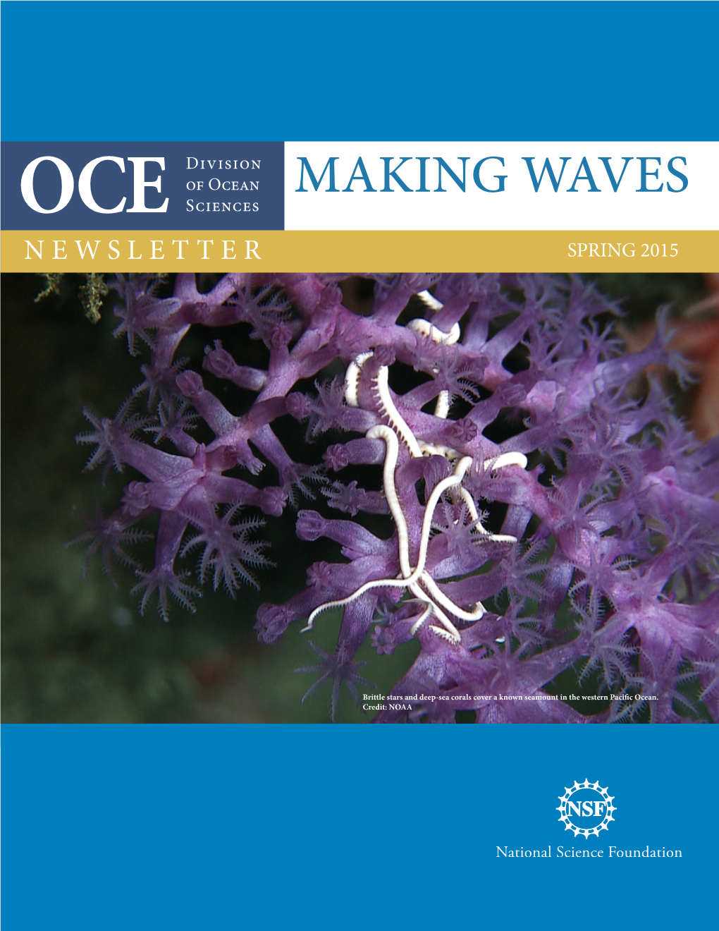 Making Waves: Division of Ocean