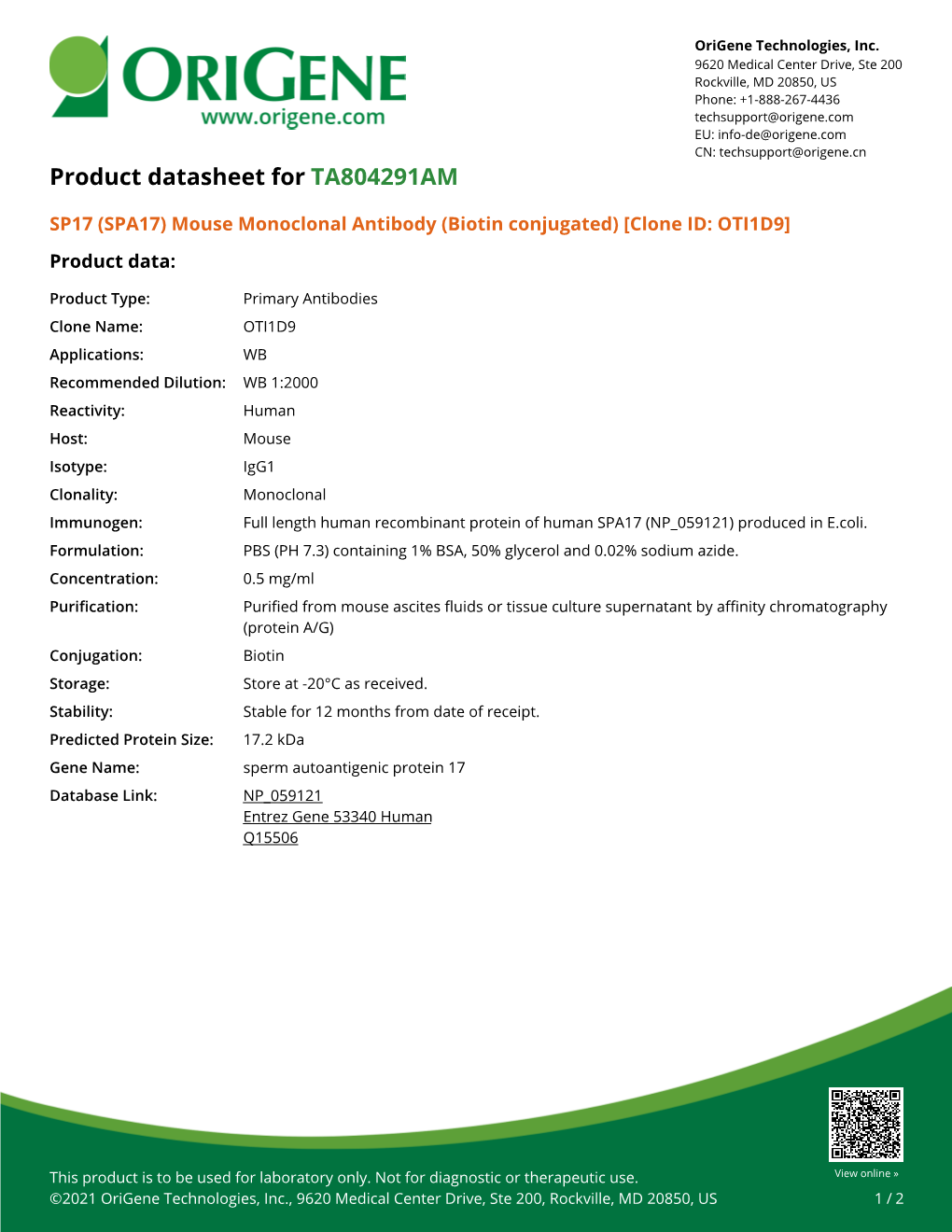 SP17 (SPA17) Mouse Monoclonal Antibody (Biotin Conjugated) [Clone ID: OTI1D9] Product Data